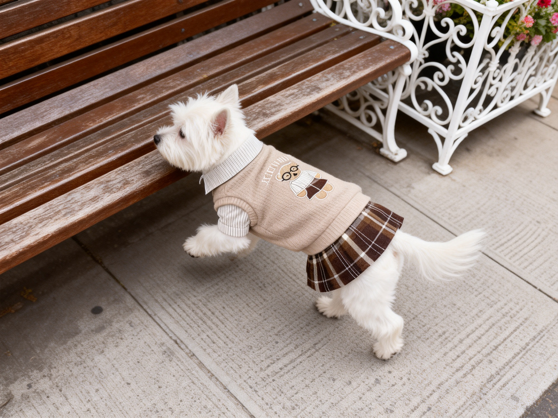 Bear Embroidered Dog Shirt Dress